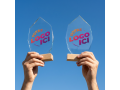 Troph&eacute;e personnalis&eacute; PULMAN